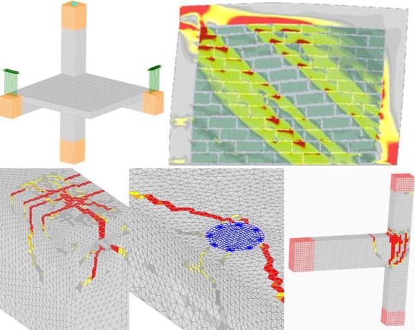 Computational Modeling